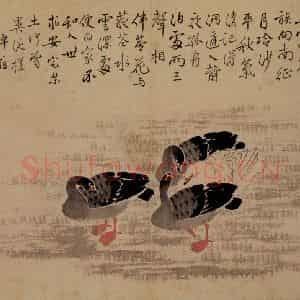 清代 边寿民《芦雁图册》国画花鸟写意作品图片鉴赏
