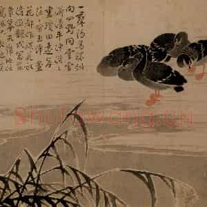 清代 边寿民《芦雁图册》国画花鸟写意作品图片鉴赏