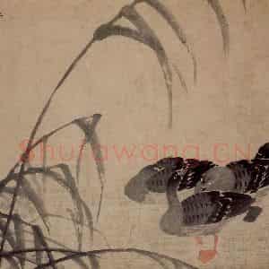 清代 边寿民《晴沙静集图》国画花鸟写意作品图片鉴赏