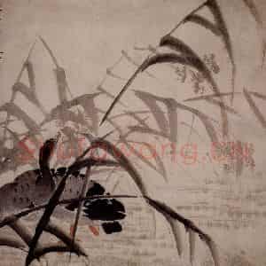 清代 边寿民《苇汀息影图》国画花鸟写意作品图片鉴赏