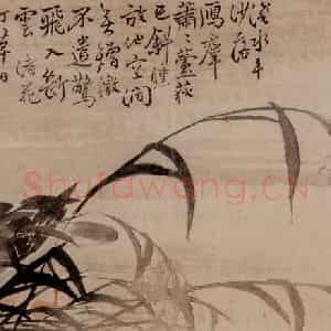清代 边寿民《杂画册》国画花鸟写意作品图片鉴赏