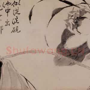 清代 边寿民《杂画册》国画花鸟写意作品图片鉴赏
