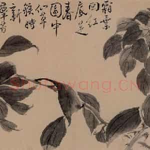 清代 边寿民《杂画册》国画花鸟写意作品图片鉴赏