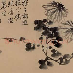 清代 边寿民《杂画册》国画花鸟写意作品图片鉴赏