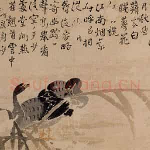 清代 边寿民《芦雁图》国画花鸟写意作品图片鉴赏