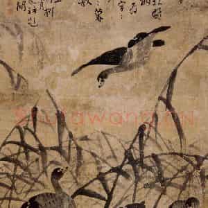 清代 边寿民《芦汀雁图》国画花鸟写意作品图片鉴赏