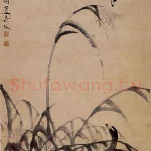清代 边寿民《芦汀雁图》国画花鸟写意作品图片鉴赏