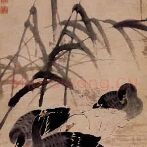清代 边寿民《秋滩戢羽图》国画花鸟写意作品图片鉴赏