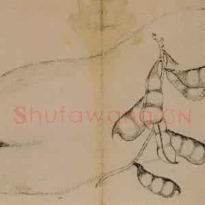 1728年 边寿民《蔬果册》国画花鸟写意作品图片鉴赏