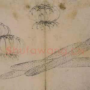 1728年 边寿民《蔬果册》国画花鸟写意作品图片鉴赏