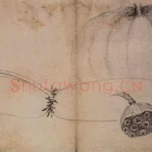 1728年 边寿民《蔬果册》国画花鸟写意作品图片鉴赏