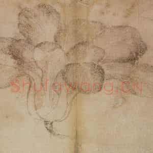 1728年 边寿民《蔬果册》国画花鸟写意作品图片鉴赏