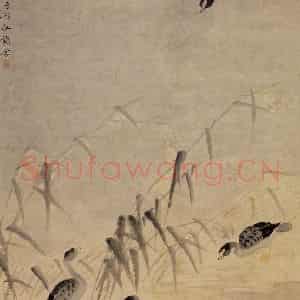 1732年 边寿民《芦雁图》国画花鸟写意作品图片鉴赏