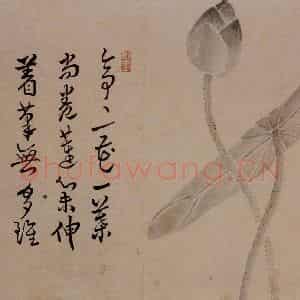 1732年 边寿民《杂画册》国画花鸟写意作品图片鉴赏