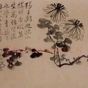 1732年 边寿民《杂画册》国画花鸟写意作品图片鉴赏