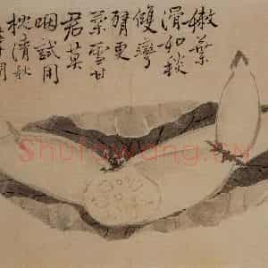 1732年 边寿民《杂画册》国画花鸟写意作品图片鉴赏