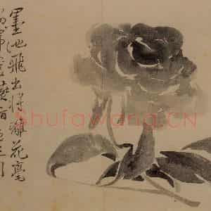 1732年 边寿民《杂画册》国画花鸟写意作品图片鉴赏
