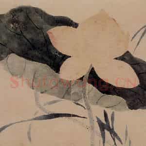 1732年 边寿民《杂画册》国画花鸟写意作品图片鉴赏