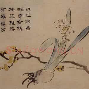 1732年 边寿民《杂画册》国画花鸟写意作品图片鉴赏