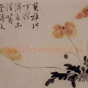1732年 边寿民《杂画册》国画花鸟写意作品图片鉴赏