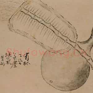 1733年 边寿民《杂画册》国画花鸟写意作品图片鉴赏