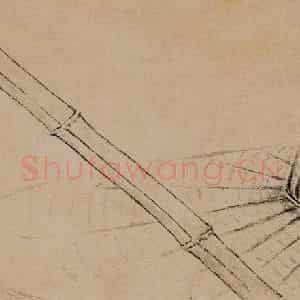 1733年 边寿民《杂画册》国画花鸟写意作品图片鉴赏