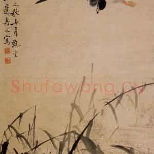 1733年 边寿民《芦雁图》国画花鸟写意作品图片鉴赏