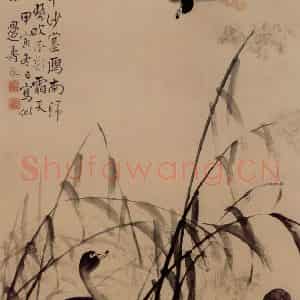 1734年 边寿民《芦雁图》国画花鸟写意作品图片鉴赏
