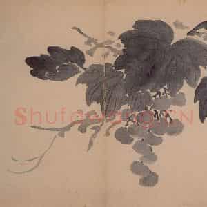 1735年 边寿民《花果册》国画花鸟写意作品图片鉴赏