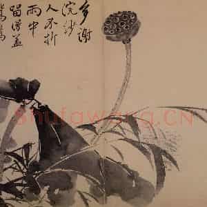 1735年 边寿民《花果册》国画花鸟写意作品图片鉴赏