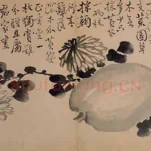 1735年 边寿民《花果册》国画花鸟写意作品图片鉴赏
