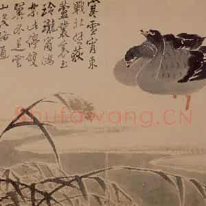 1739年 边寿民《芦雁花卉册》国画花鸟写意作品图片鉴赏