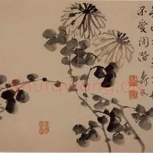 1739年 边寿民《芦雁花卉册》国画花鸟写意作品图片鉴赏