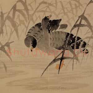 1739年 边寿民《芦雁花卉册》国画花鸟写意作品图片鉴赏