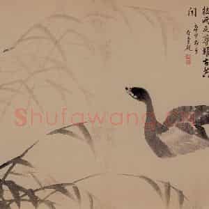 1739年 边寿民《芦雁花卉册》国画花鸟写意作品图片鉴赏