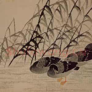 1743年 边寿民《杂画册》国画花鸟写意作品图片鉴赏