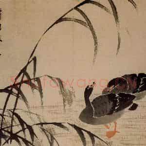 1743年 边寿民《杂画册》国画花鸟写意作品图片鉴赏