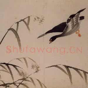 1743年 边寿民《杂画册》国画花鸟写意作品图片鉴赏