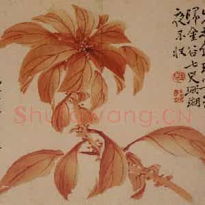 1743年 边寿民《杂画册》国画花鸟写意作品图片鉴赏