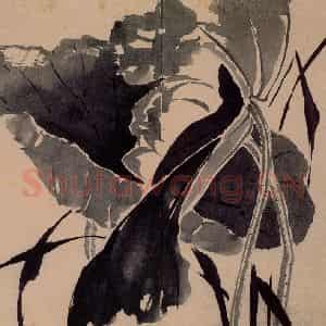 1743年 边寿民《杂画册》国画花鸟写意作品图片鉴赏