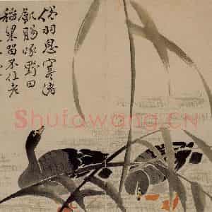 1743年 边寿民《杂画册》国画花鸟写意作品图片鉴赏