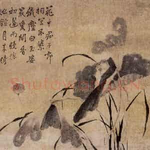 1747年 边寿民《墨荷图》国画花鸟写意作品图片鉴赏
