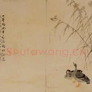 1748年 边寿民《芦雁图册》国画花鸟写意作品图片鉴赏