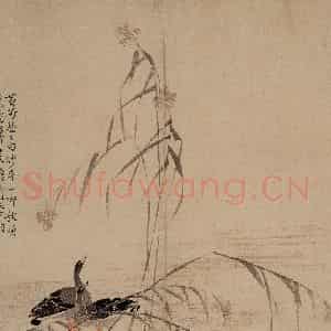 1748年 边寿民《芦雁图册》国画花鸟写意作品图片鉴赏