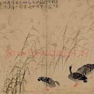 1748年 边寿民《芦雁图册》国画花鸟写意作品图片鉴赏
