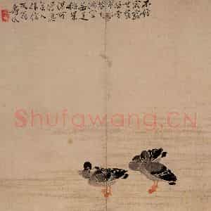 1748年 边寿民《芦雁图册》国画花鸟写意作品图片鉴赏