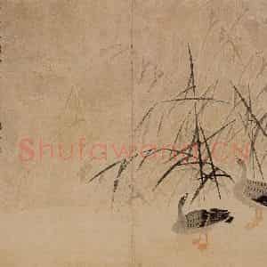 1748年 边寿民《芦雁图册》国画花鸟写意作品图片鉴赏