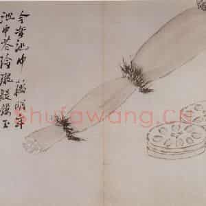 清代 罗聘《花卉册十二开》国画花鸟作品图片鉴赏