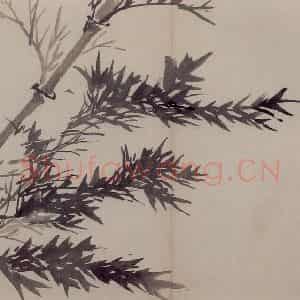 清代《山水花卉册》国画花鸟作品图片鉴赏