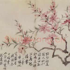 清代 罗聘《花卉册十二开》国画花鸟作品图片鉴赏